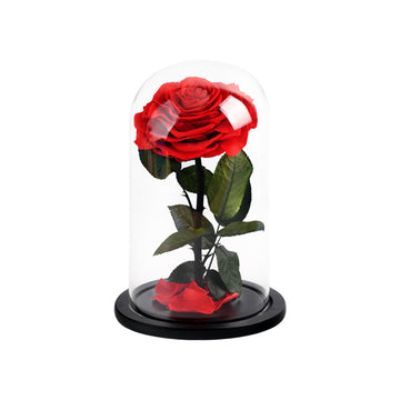 The Everlasting Rose - Red