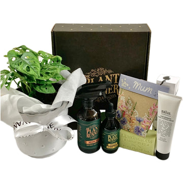 Eddystone Hamper
