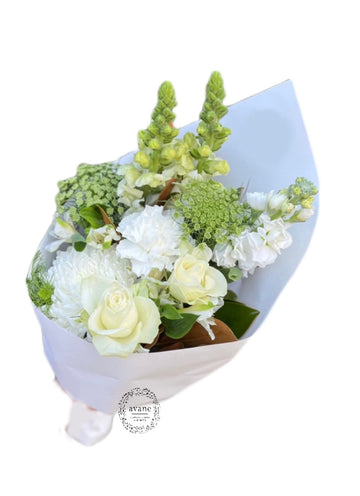 White & Green Front Facing