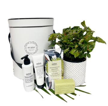Grove Hamper