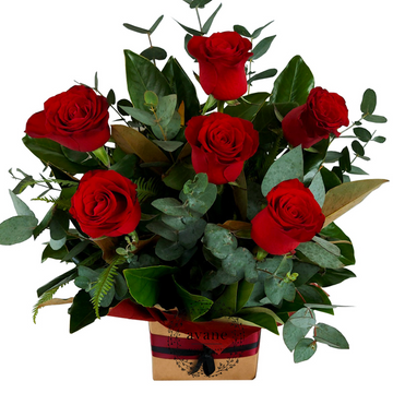Half Dozen Roses in Box