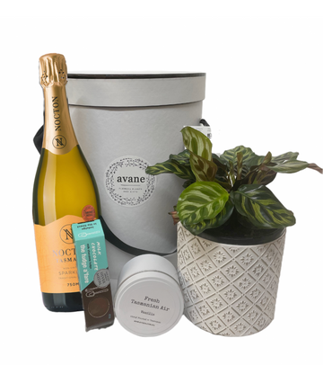 Sandford Hamper