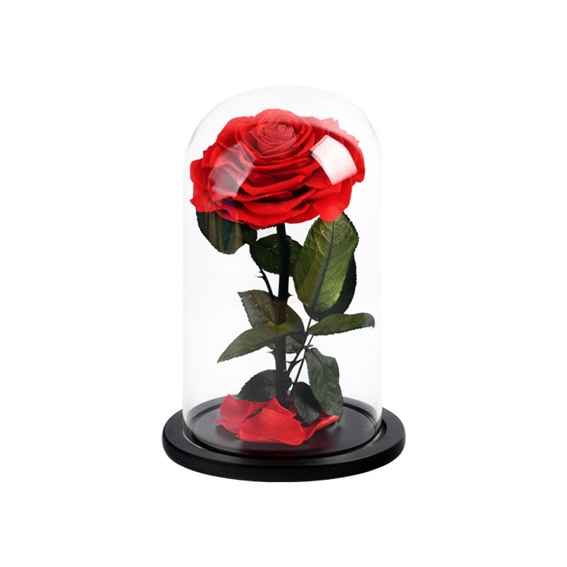 The Everlasting Rose - Red
