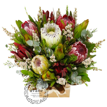 Native Arrangement