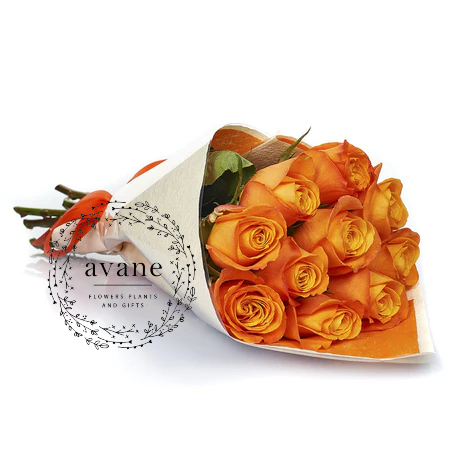 Valentine's Day Orange Roses