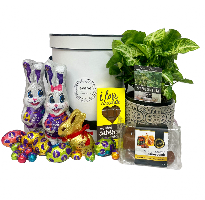 Bunnies Garden