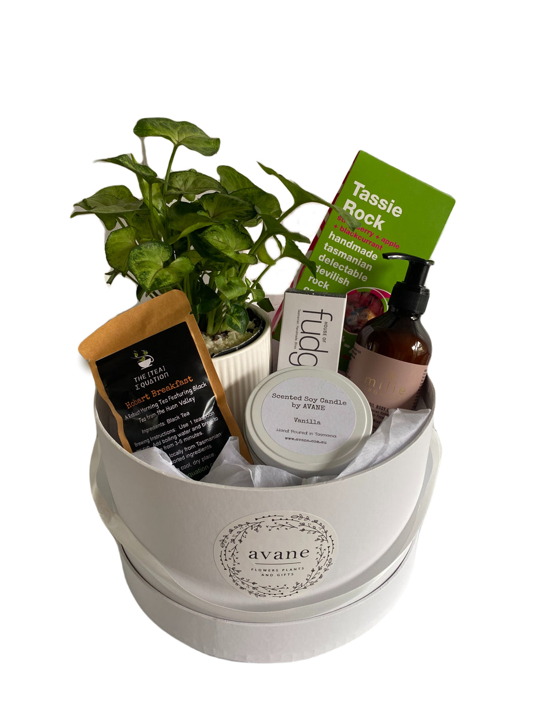 What a great gift! A easy to care for indoor plant in a ceramic pot and a selection of Tasmanian goodies, including a hand poured Vanilla soy candle, Tasmanian devil fudge, Tassie Rocks Candy, 
